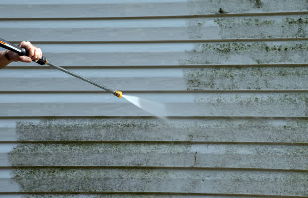 Best Exterior Home Cleaning  in Timberlane, IL