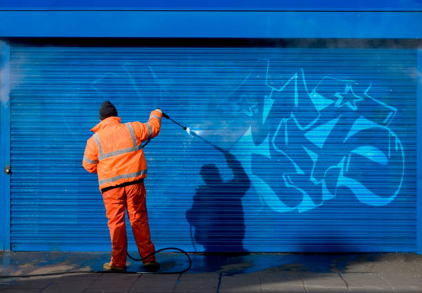 Best Garage Pressure Washing  in Timberlane, IL