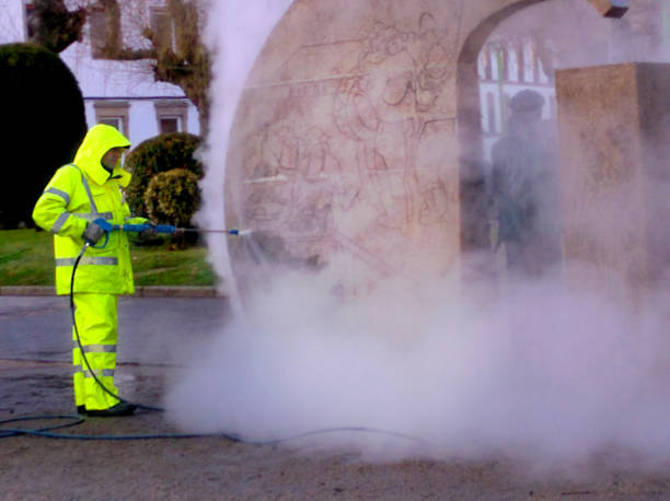 Best Best Pressure Washing Companies  in Timberlane, IL