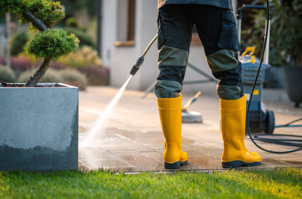 Best House Pressure Washing  in Timberlane, IL